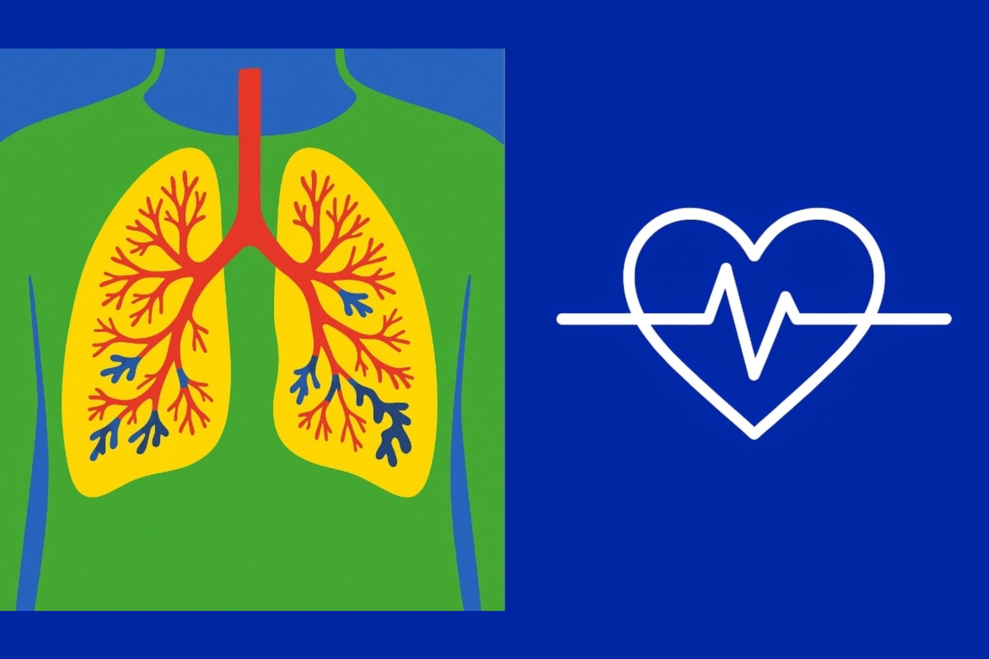 EMA approves first treatment that addresses causes of serious chronic lung disease