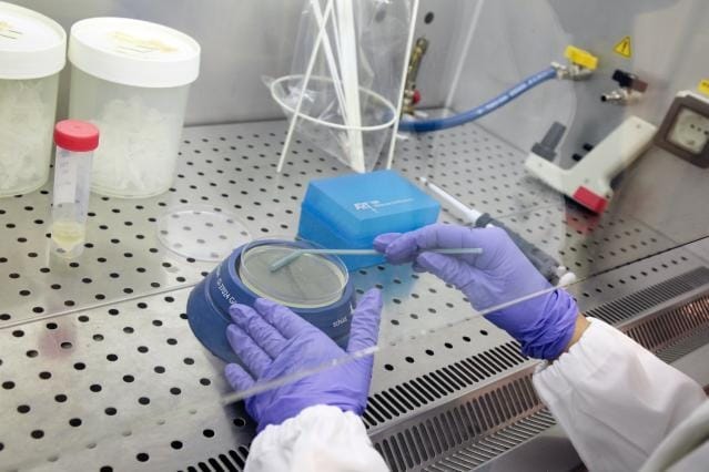 WHO warns of alarming rise in antimicrobial resistance - Europe is not immune