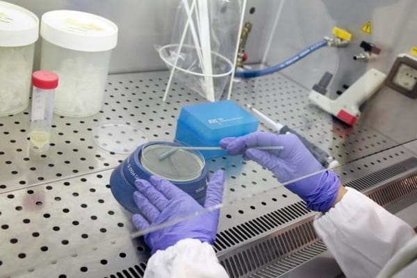 WHO warns of alarming rise in antimicrobial resistance - Europe is not immune