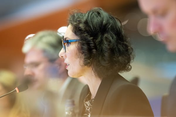 MEPs press commissioner on the future EU Civil Protection Mechanism