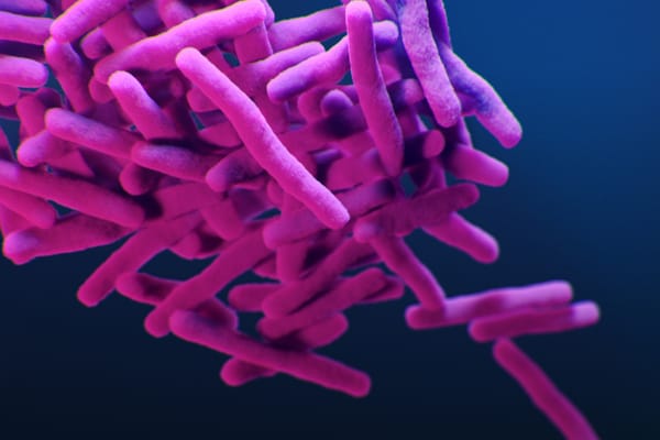 EU/EEA falls short on TB detection as one in five cases go unnoticed